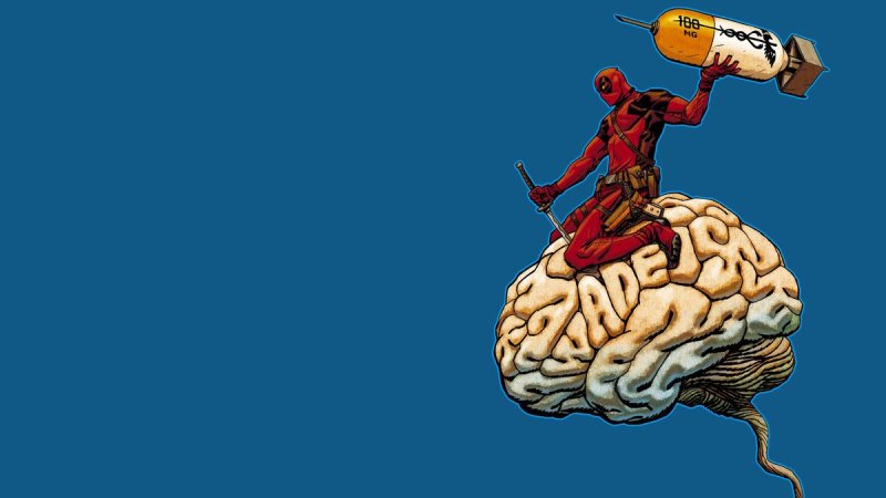 Мозг заставка