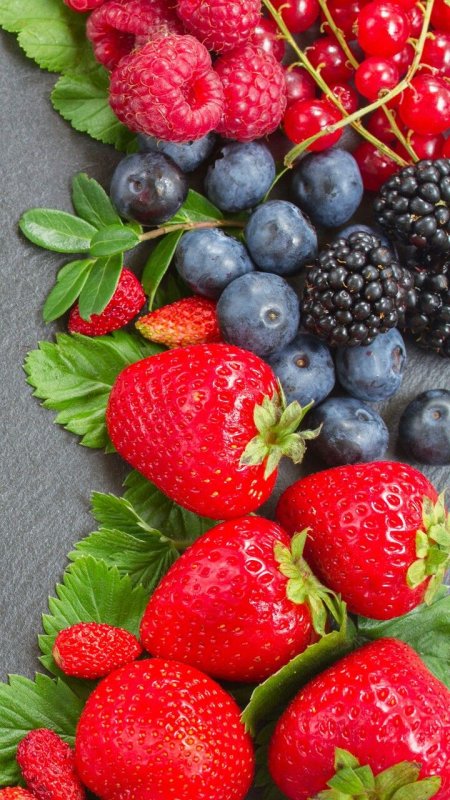 Красивые ягоды