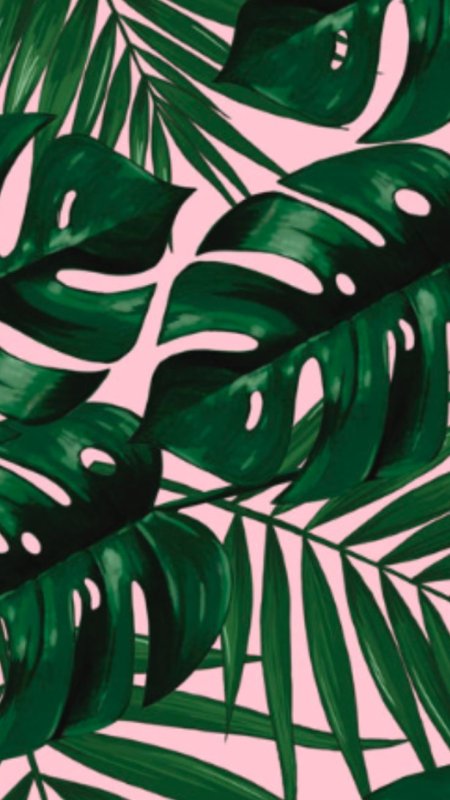 Тропические листья орнамент