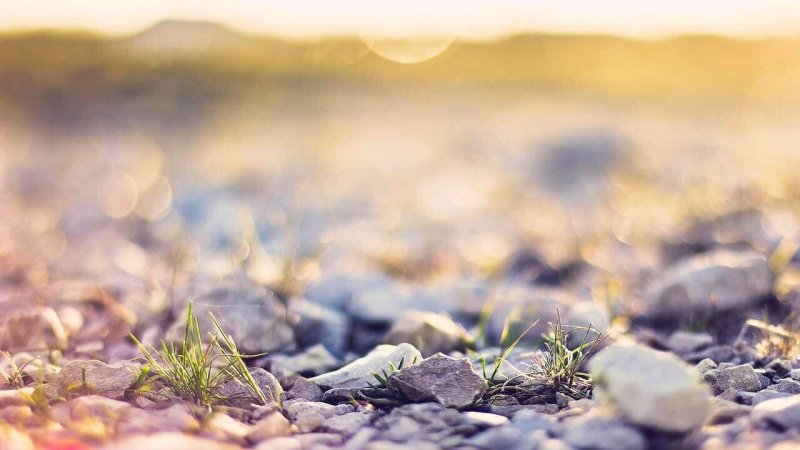 Природный фон