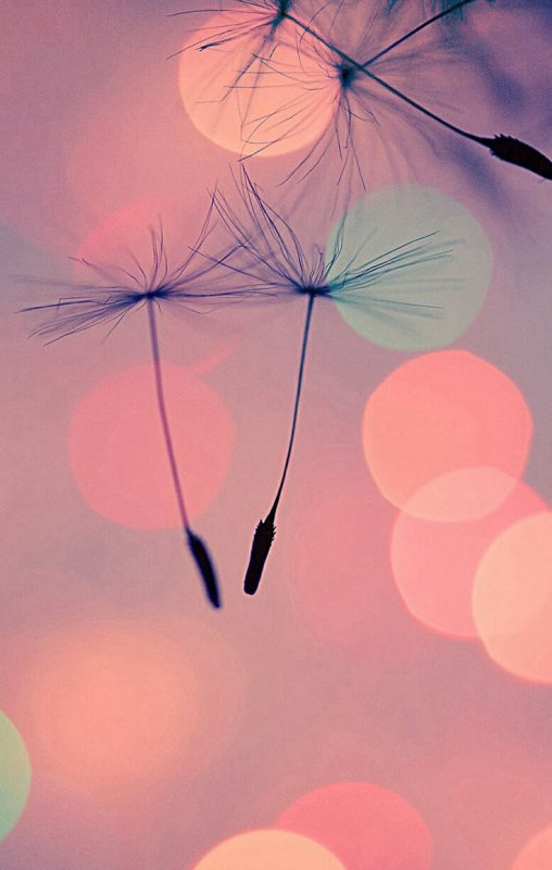 Фон на телефон красивые