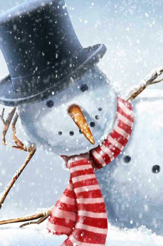 Милый Снеговичок