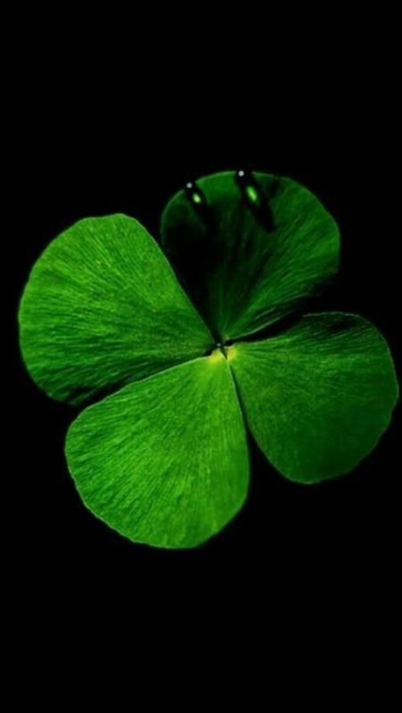 Ирландия Клевер четырехлистный
