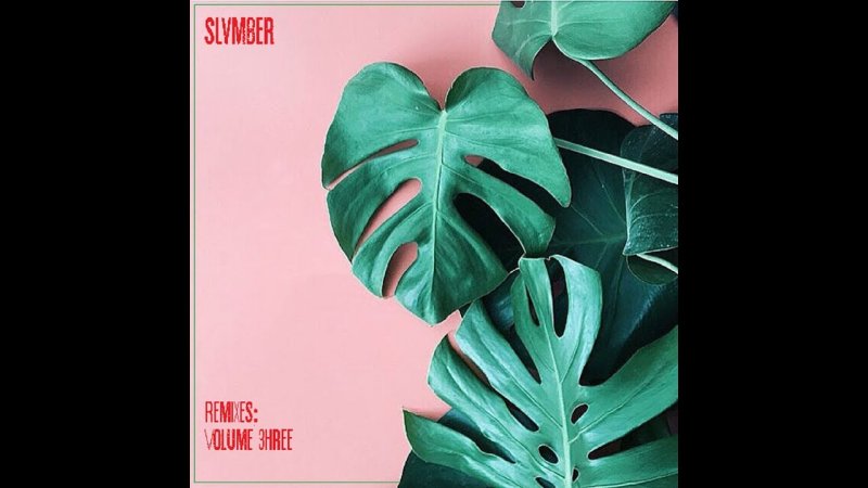 Монстера эскулетто