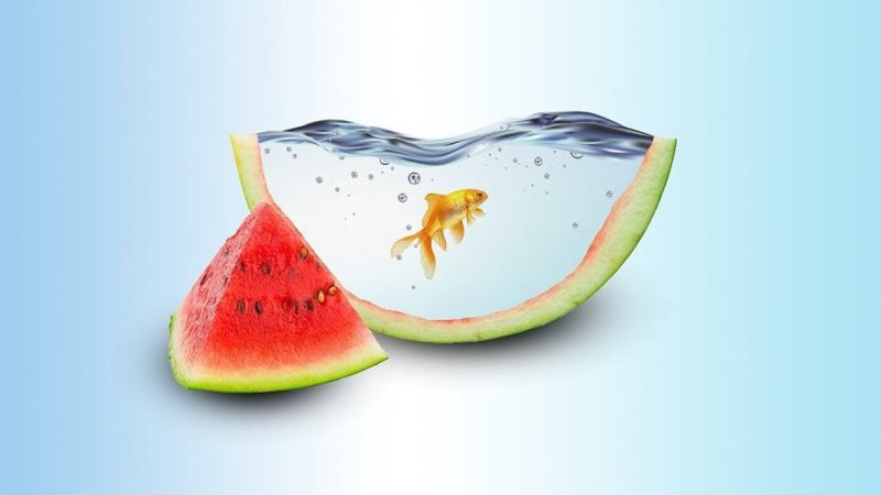 Заставка Арбуз