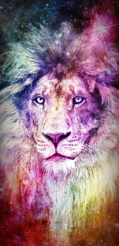 Абстракция животные