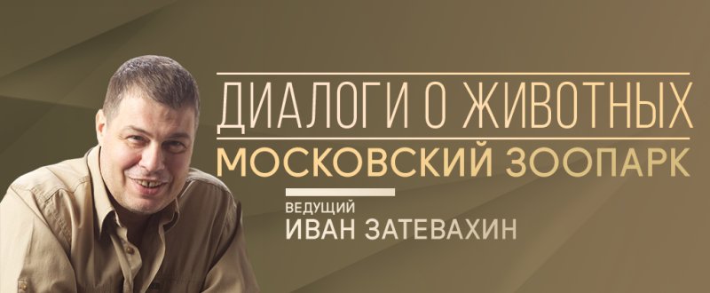 Иван Затевахин диалоги о рыбалке