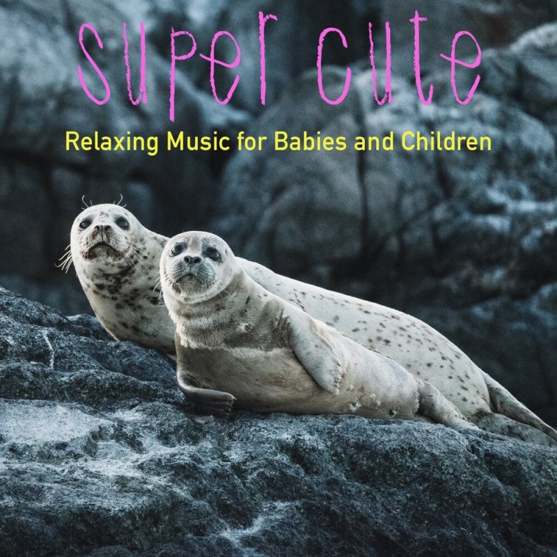 Байкальская Нерпа Белек