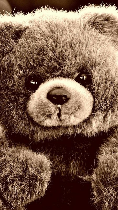 Пушистый Медвежонок