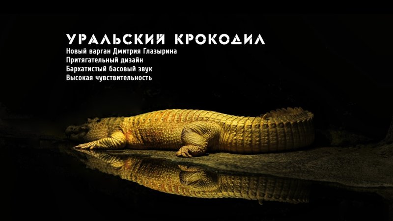 Крокодил это пресмыкающееся