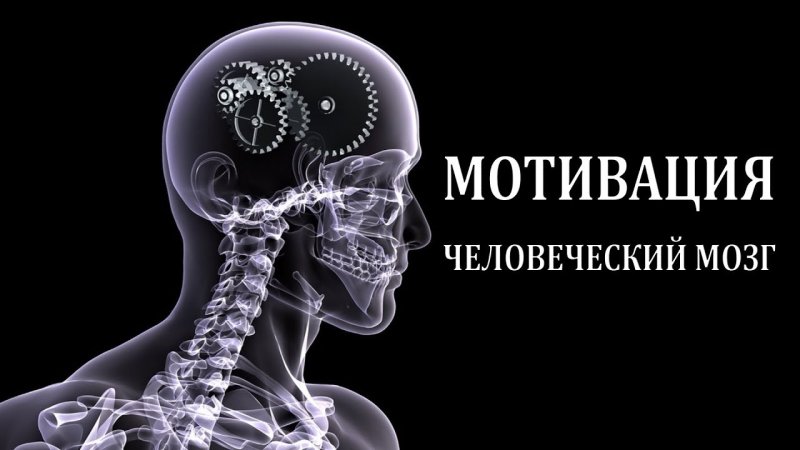 Анатомия рентген человека