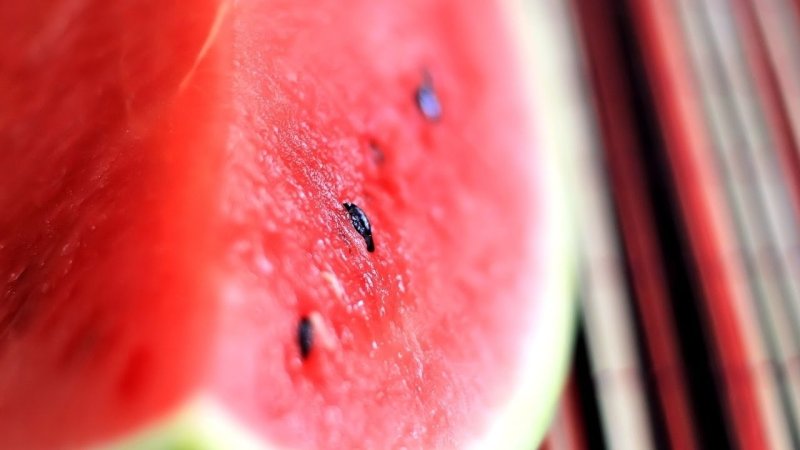 Сочный Арбуз