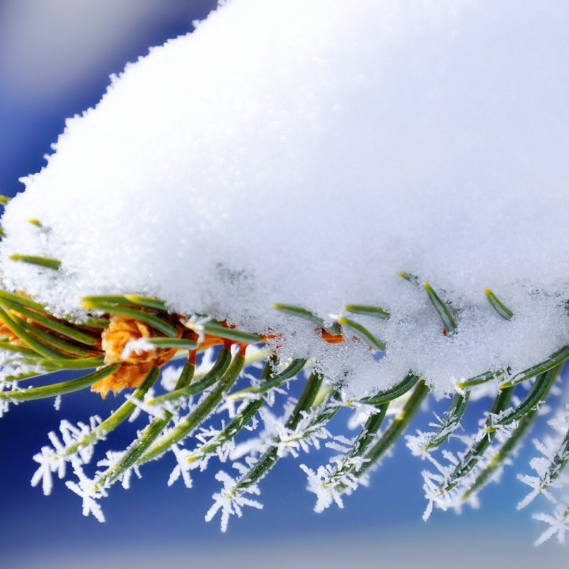 Красивые зимние обои