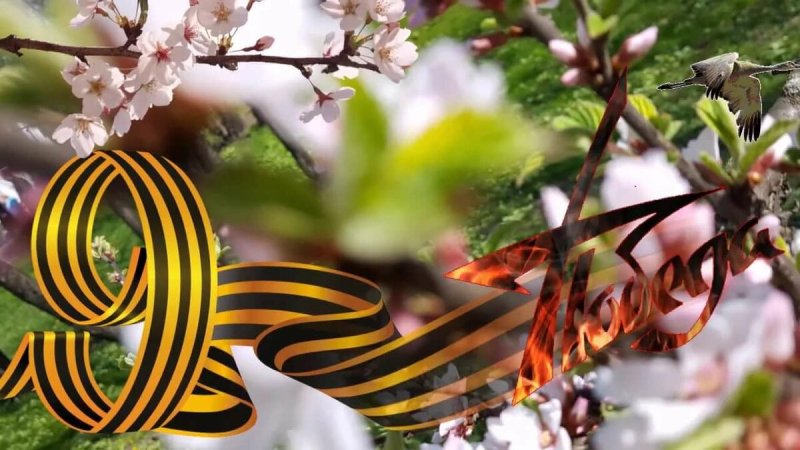 Заставка день Победы