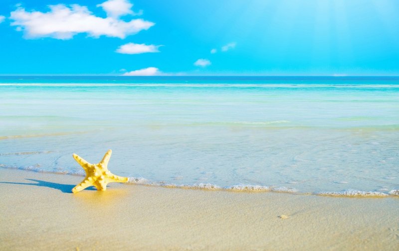 Море солнце