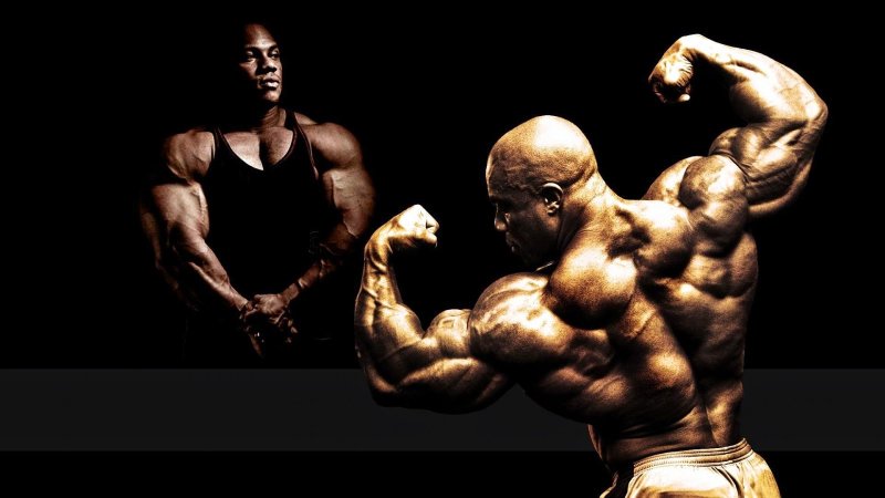 Фил хит обои