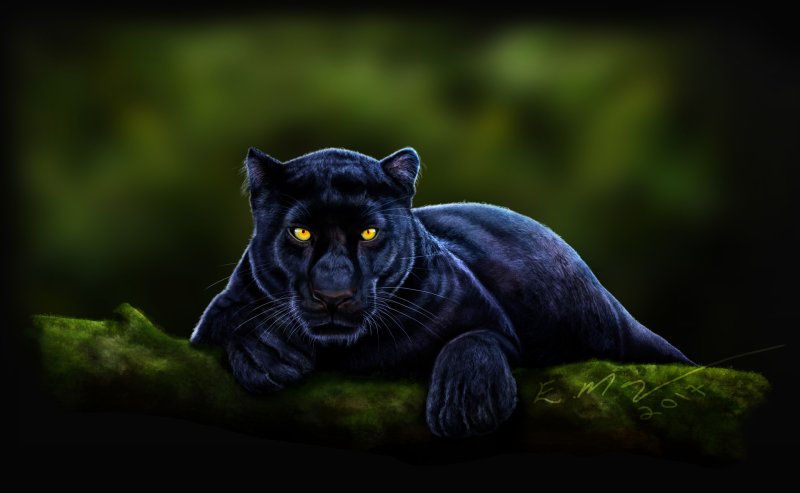 ЮТУБЕРСКАЯ пантера