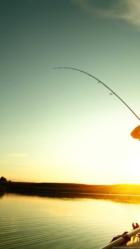 Природа рыбалка