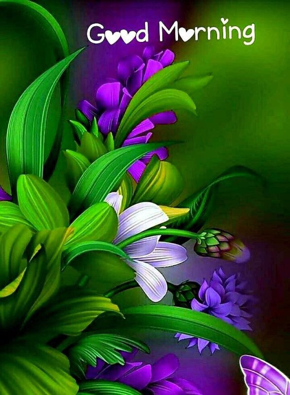 Красивые яркие цветы