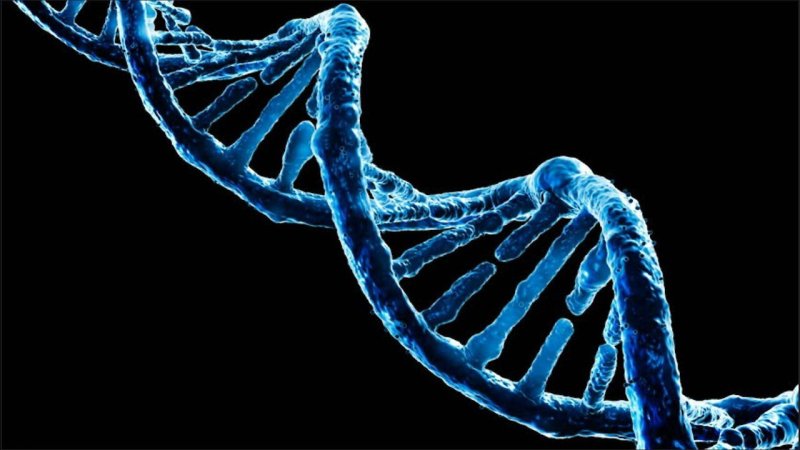 ДНК И ген на черном фоне