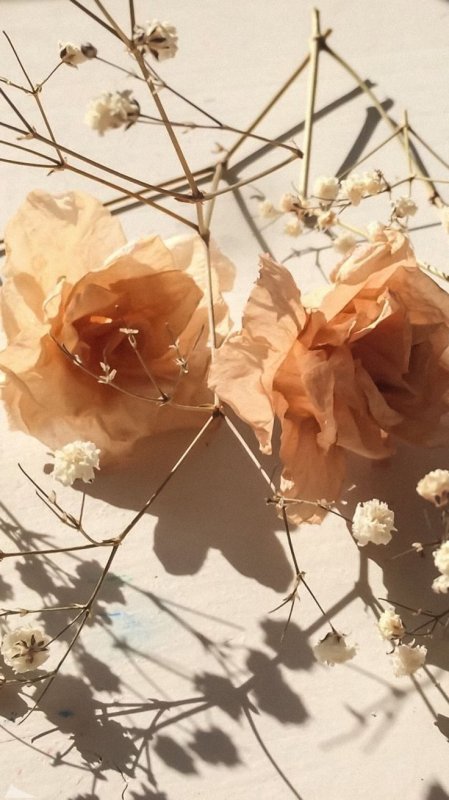 Эстетик в бежевых тонах