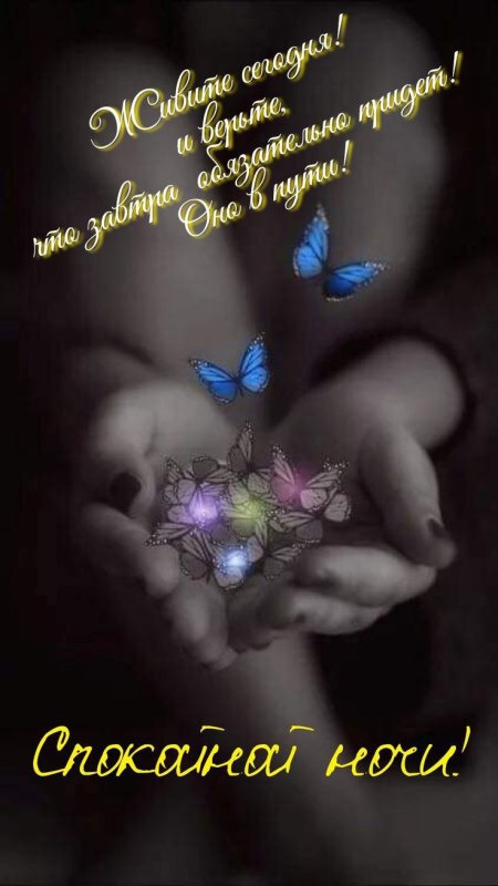 Цветы в ладонях