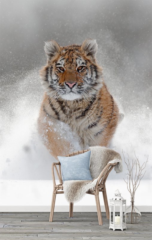 Тигренок зимой