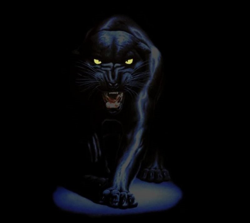 Черная пантера на черном фоне