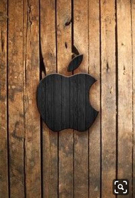 Обои на телефон дерево