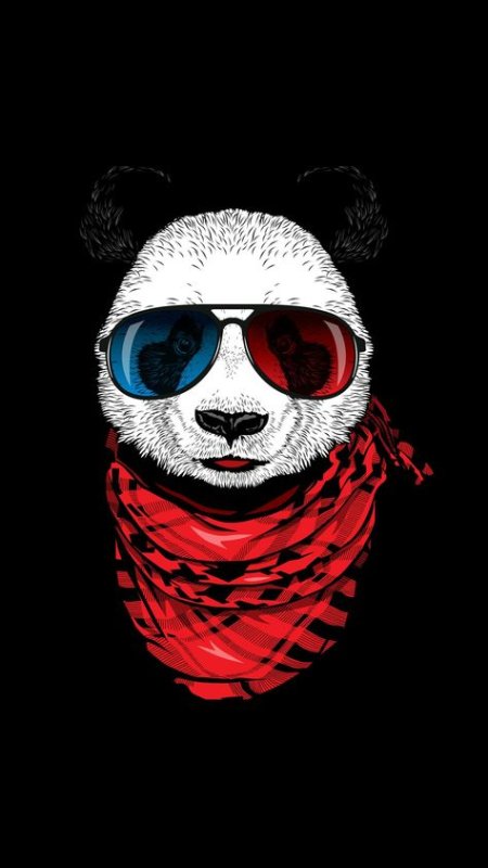 Панда в очках рисунок