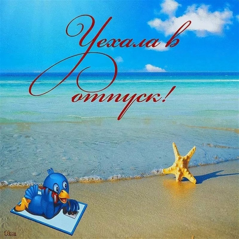 Долгожданный отпуск