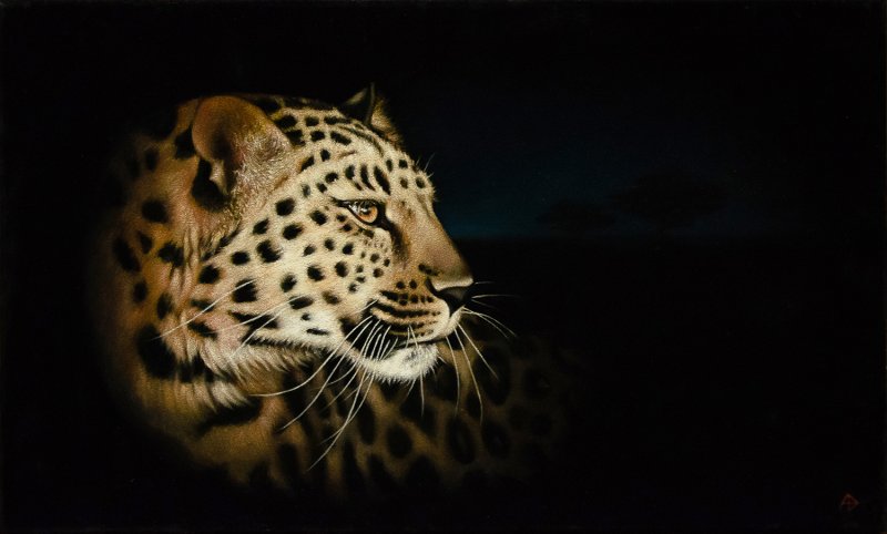 Хищные животные