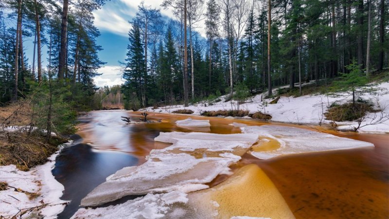 Ранняя Весна природа