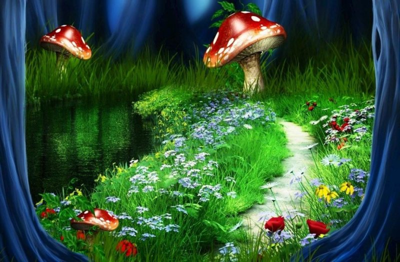 Сказочные грибы