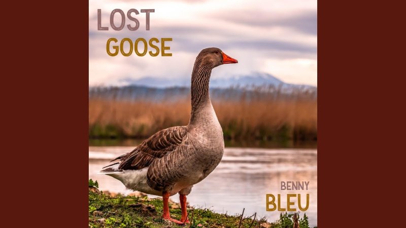 Перелетные гуси