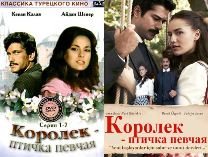 Решад Нури Гюнтекин Королек – птичка певчая