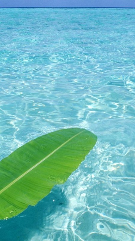 Прозрачное море