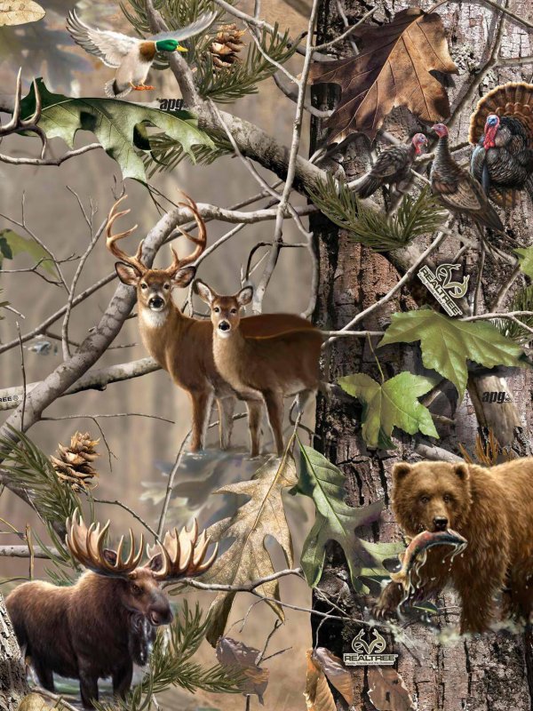 Заставка на телефон охота