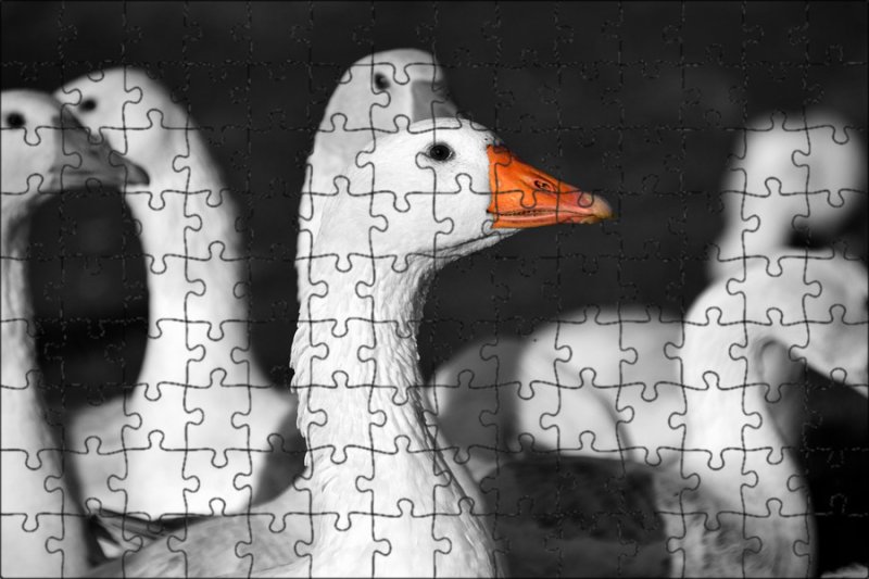 Гусь мозаика