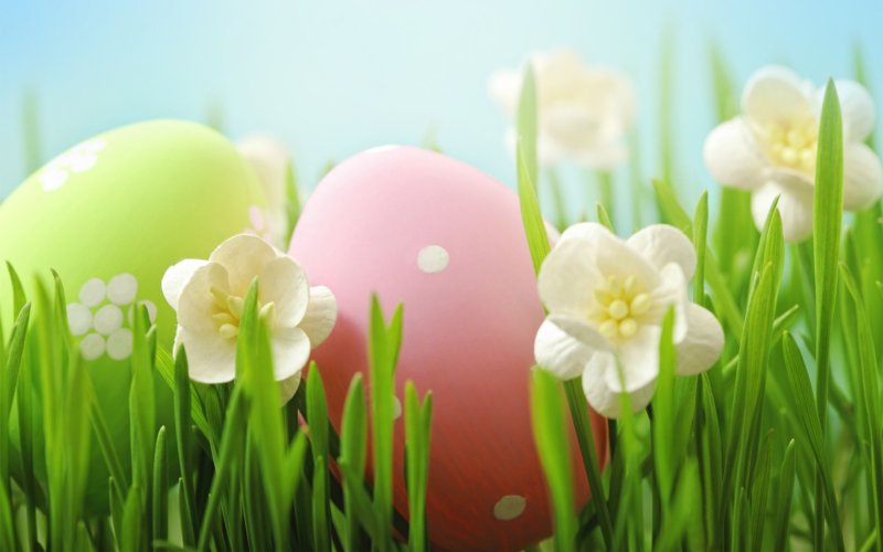 Пасхальные цветы