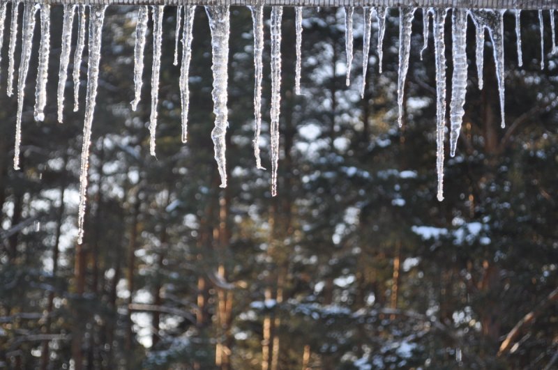 Весенние сосульки