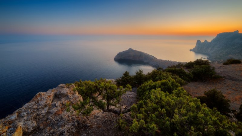 Сосна мыс Капчик