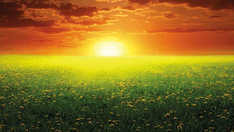 На Восходе солнца