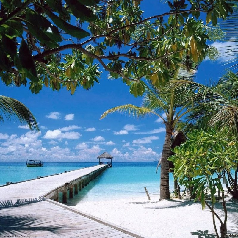 Гавайи Мальдивы Карибы