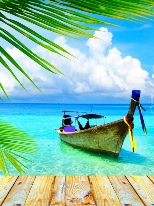 Пляж с пальмами