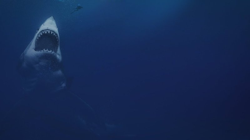 МЕГАЛОДОН В глубине океана