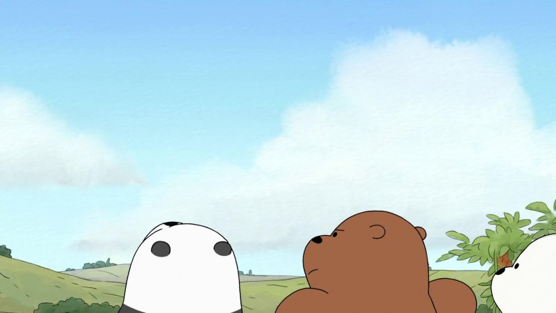 Вся правда о медведях