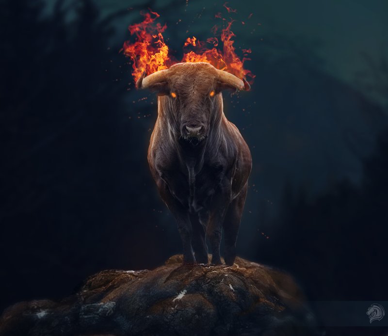 Огненный Телец