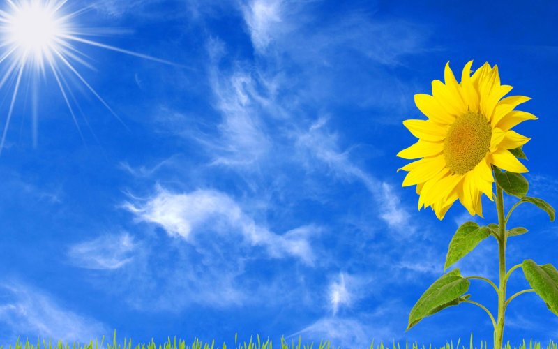 Солнечное небо