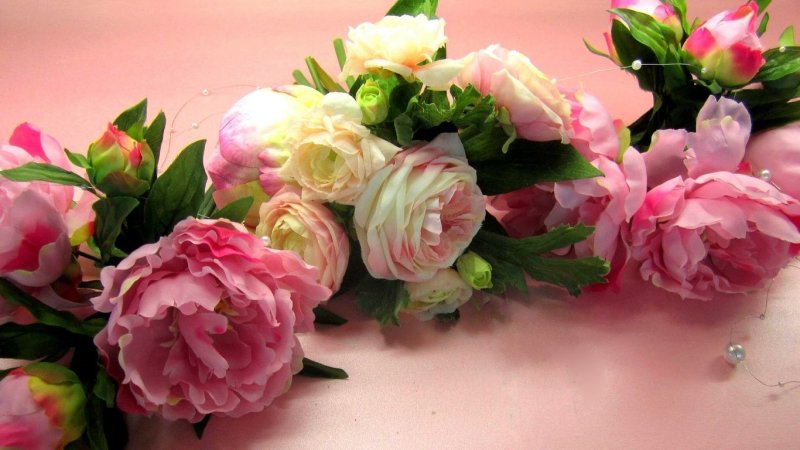 Красивые пионы